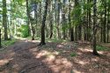 Beskid Wyspowy - Łopusze