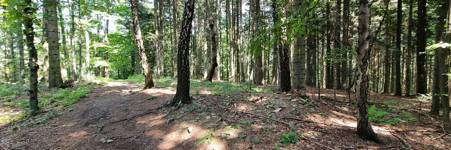 Beskid Wyspowy - Łopusze