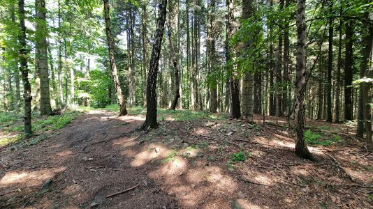 Beskid Wyspowy - Łopusze