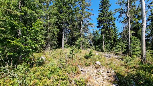 Beskid Sądecki - Bukowinki