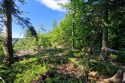 Beskid Sądecki - Świniarki