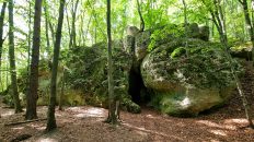 Jura Krakowsko-Częstochowska - Jaskinia w Dziadowej Skale