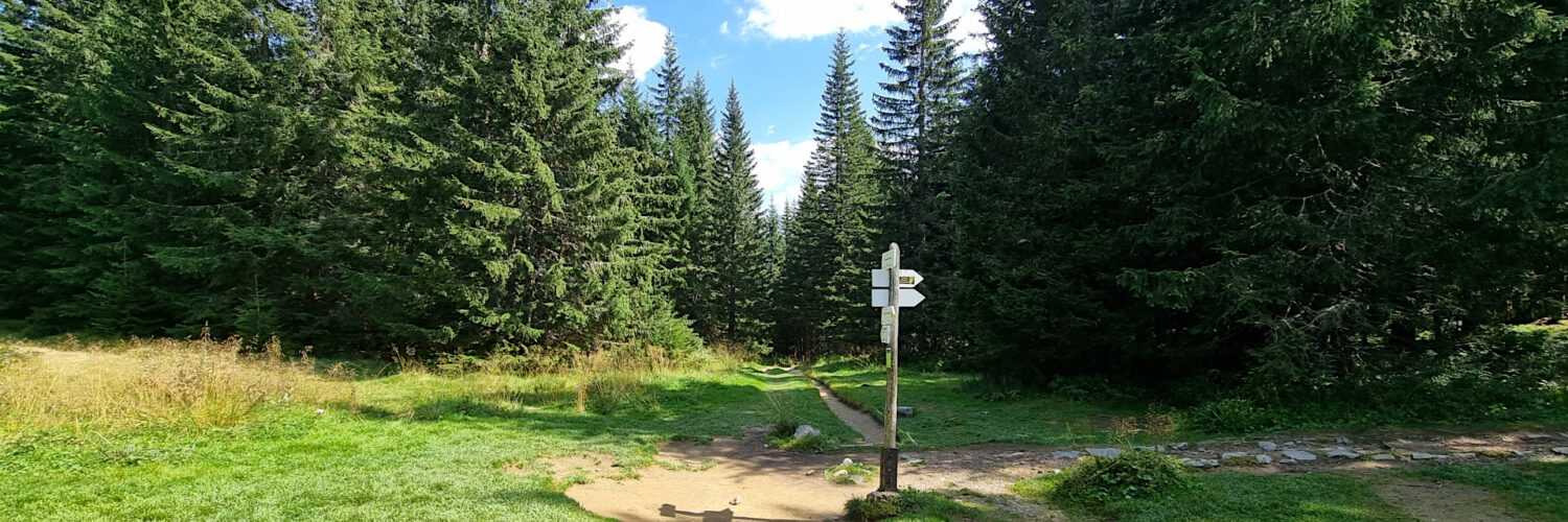 Western Tatra Mountains - Iwaniacka Pass