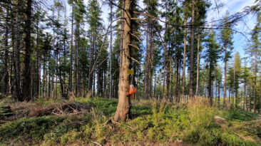 Żywiec-Orawa Beskid Mountains - Uszczawne Wyżne