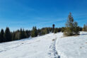 Gorce Mountains - Magurki Mountain