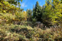 Makowski Beskid - Bryndzówka Mountain