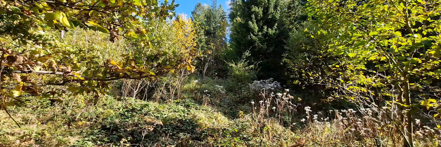 Makowski Beskid - Bryndzówka Mountain