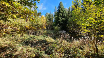 Makowski Beskid - Bryndzówka Mountain