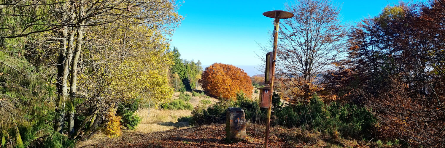 Čergov Mountains - Veľká Javorina Mountain