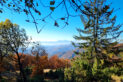 Čergov Mountains - Veľká Javorina