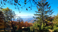 Čergov Mountains - Veľká Javorina