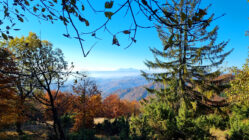 Čergov Mountains - Veľká Javorina