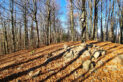Low Beskid Mountains - Ostry Wierch