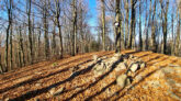 Low Beskid Mountains - Ostry Wierch