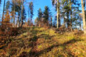 Low Beskid Mountains - Stożek and Wnyki Mountain