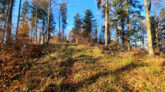 Low Beskid Mountains - Stożek and Wnyki Mountain