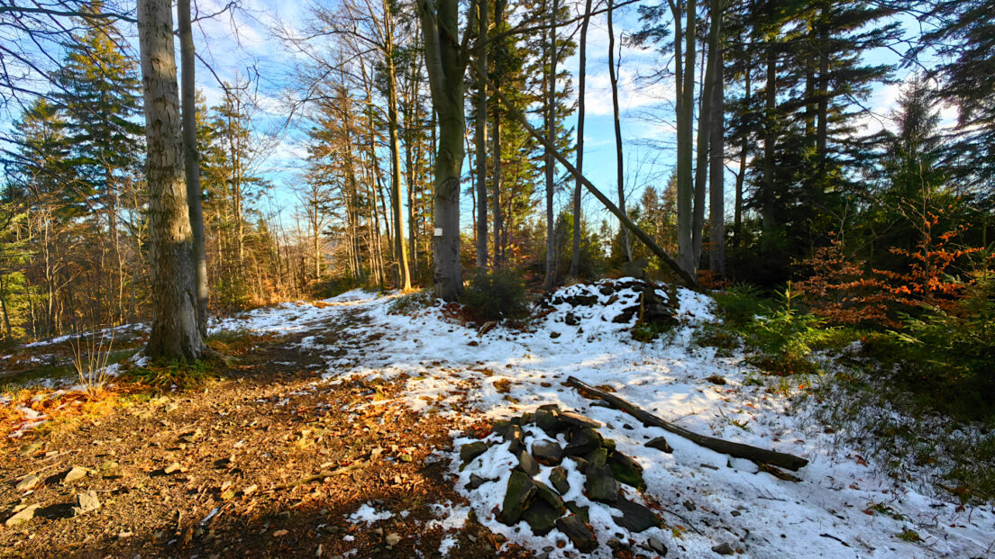 Mały Beskid Mountains - Wielka Cisowa Grapa