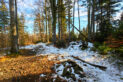 Mały Beskid Mountains - Wielka Cisowa Grapa