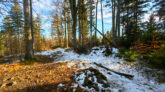 Mały Beskid Mountains - Wielka Cisowa Grapa