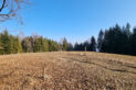 Pewel-Krzeczów Ranges - Bąków Mountain