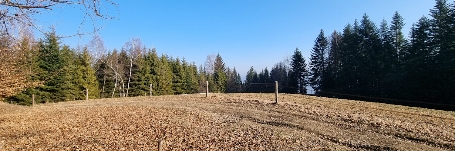 Pewel-Krzeczów Ranges - Bąków Mountain