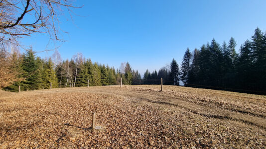 Pewel-Krzeczów Ranges - Bąków Mountain