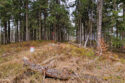 Moravian-Silesian Beskids - Malý Polom