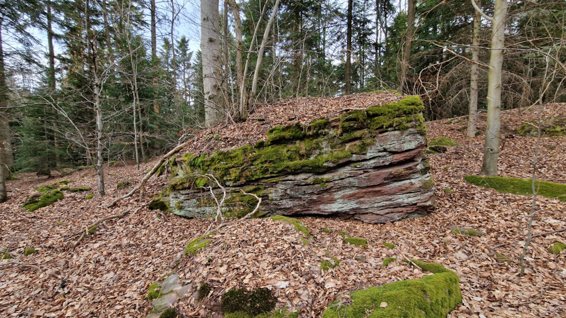 Suchedniów Plateau - Kamienna Góra