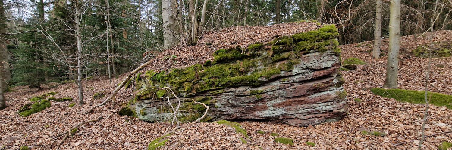 Suchedniów Plateau - Kamienna Góra