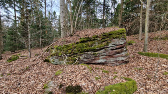 Suchedniów Plateau - Kamienna Góra