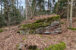 Suchedniów Plateau - Kamienna Góra