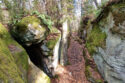 Suchedniów Plateau - Piekło Dalejowskie Rocks