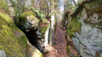 Suchedniów Plateau - Piekło Dalejowskie Rocks
