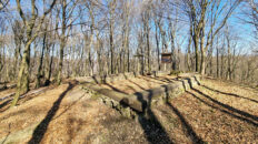 Dynów Foothills - Horodyszcze Hill