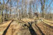 Dynów Foothills - Horodyszcze Hill