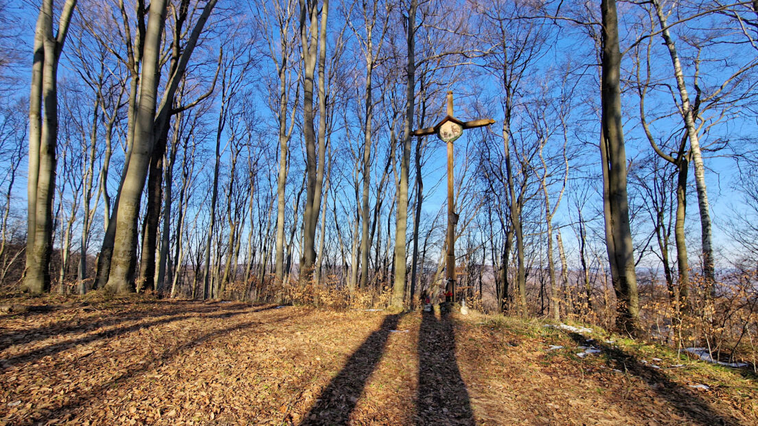 Dynów Foothills - Kopacz Hill