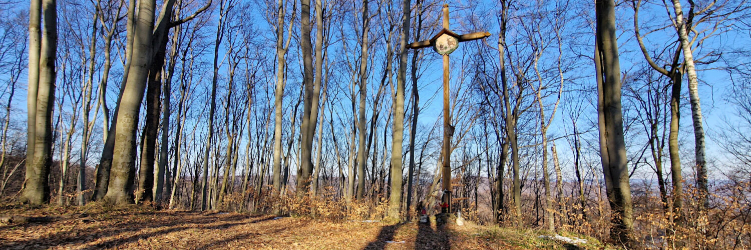 Dynów Foothills - Kopacz Hill