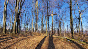 Dynów Foothills - Kopacz Hill