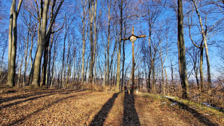 Dynów Foothills - Kopacz Hill