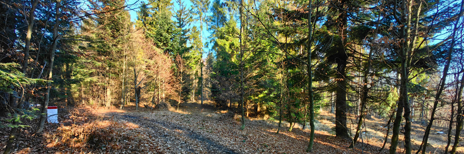 Poprad Foothills - Wysokie Bereście Południowe Hill