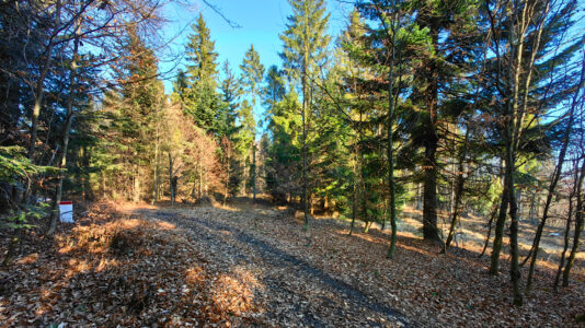 Poprad Foothills - Wysokie Bereście Południowe Hill