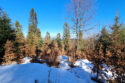 Poprad Foothills - Wysokie Bereście Hill