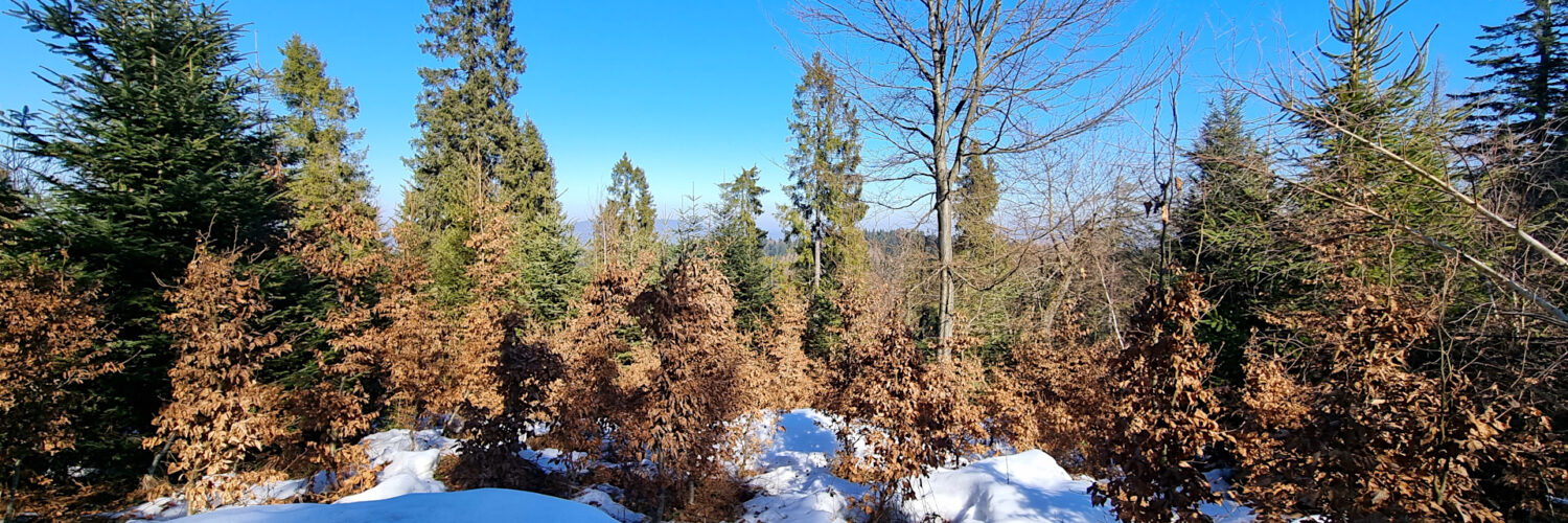 Poprad Foothills - Wysokie Bereście Hill