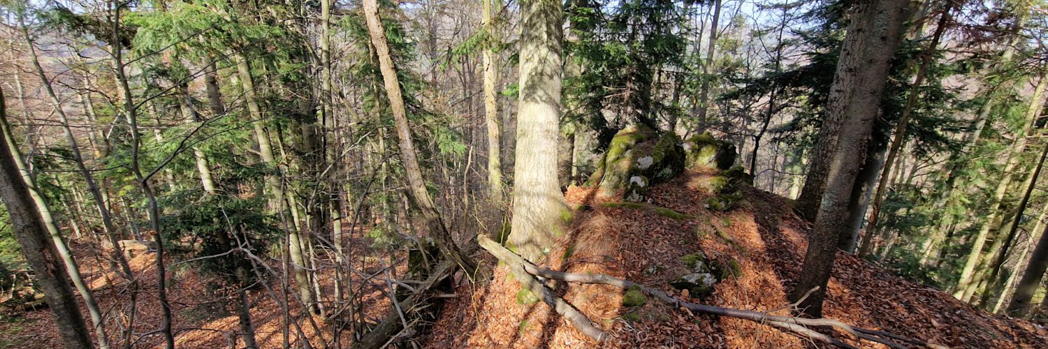 Branisko Mountains - Veľká Skala Mountain