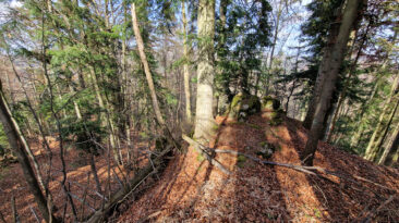 Branisko Mountains - Veľká Skala Mountain