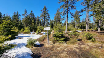Złote Mountains - Postawna Mountain