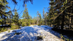 Złote Mountains - Smrk Mountain