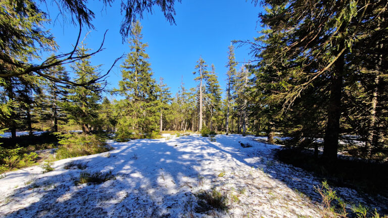 Złote Mountains - Smrk Mountain