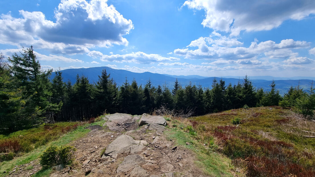 Żywiec-Orawa Beskid Mountains - Kiczorka Mountain