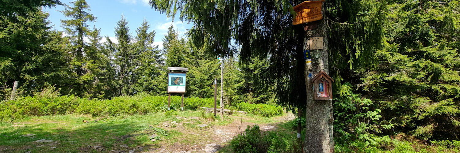 Żywiec-Orawa Beskid Mountains - Romanka Mountain